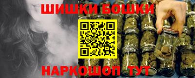 индика Лесосибирск