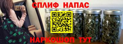 индика Лесосибирск