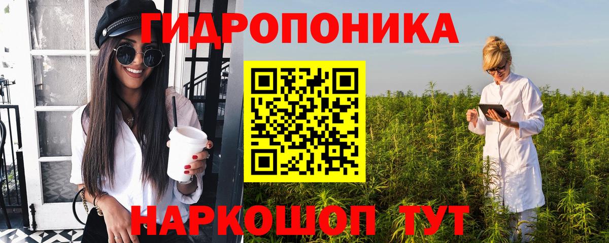 Камышин  Шишки марихуана семена  Канабис тримм  Бошки марихуана White Widow  Вход с VPN 